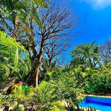 Pacifica Surf Studios Playa Santa Teresa  Екстериор снимка
