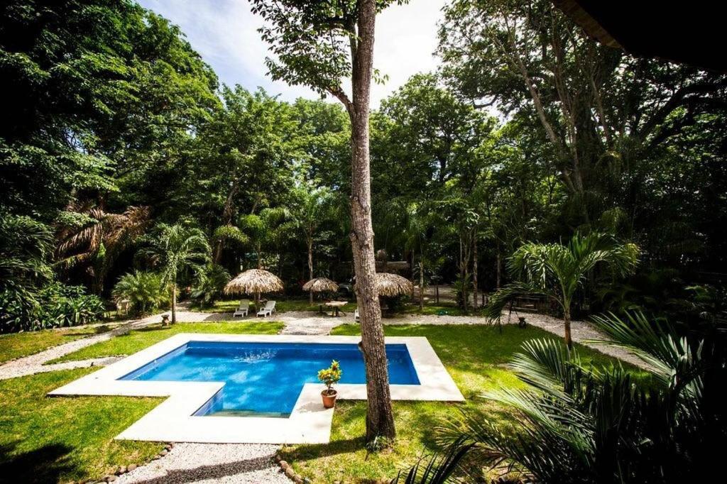Pacifica Surf Studios Playa Santa Teresa  Екстериор снимка