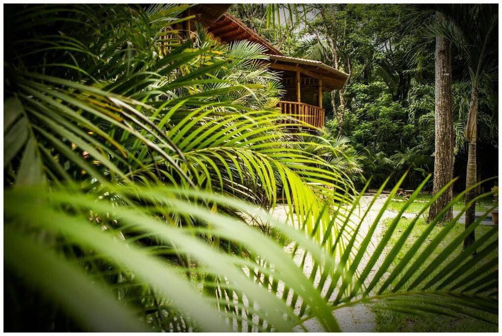 Pacifica Surf Studios Playa Santa Teresa  Екстериор снимка