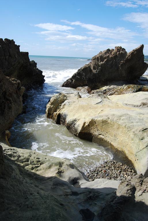 Pacifica Surf Studios Playa Santa Teresa  Екстериор снимка