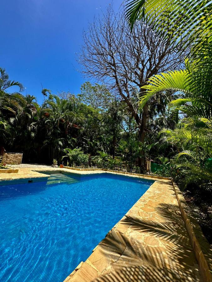 Pacifica Surf Studios Playa Santa Teresa  Екстериор снимка