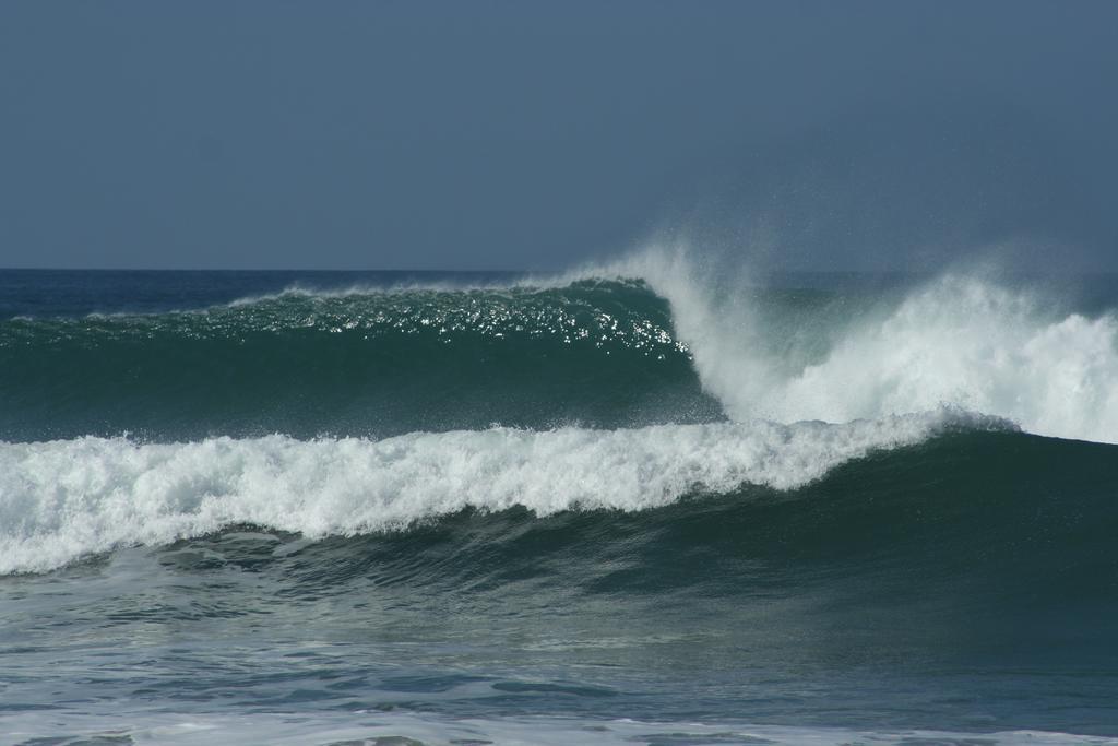 Pacifica Surf Studios Playa Santa Teresa  Екстериор снимка